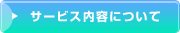 T[rXeɂ