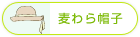 ctXqFXq